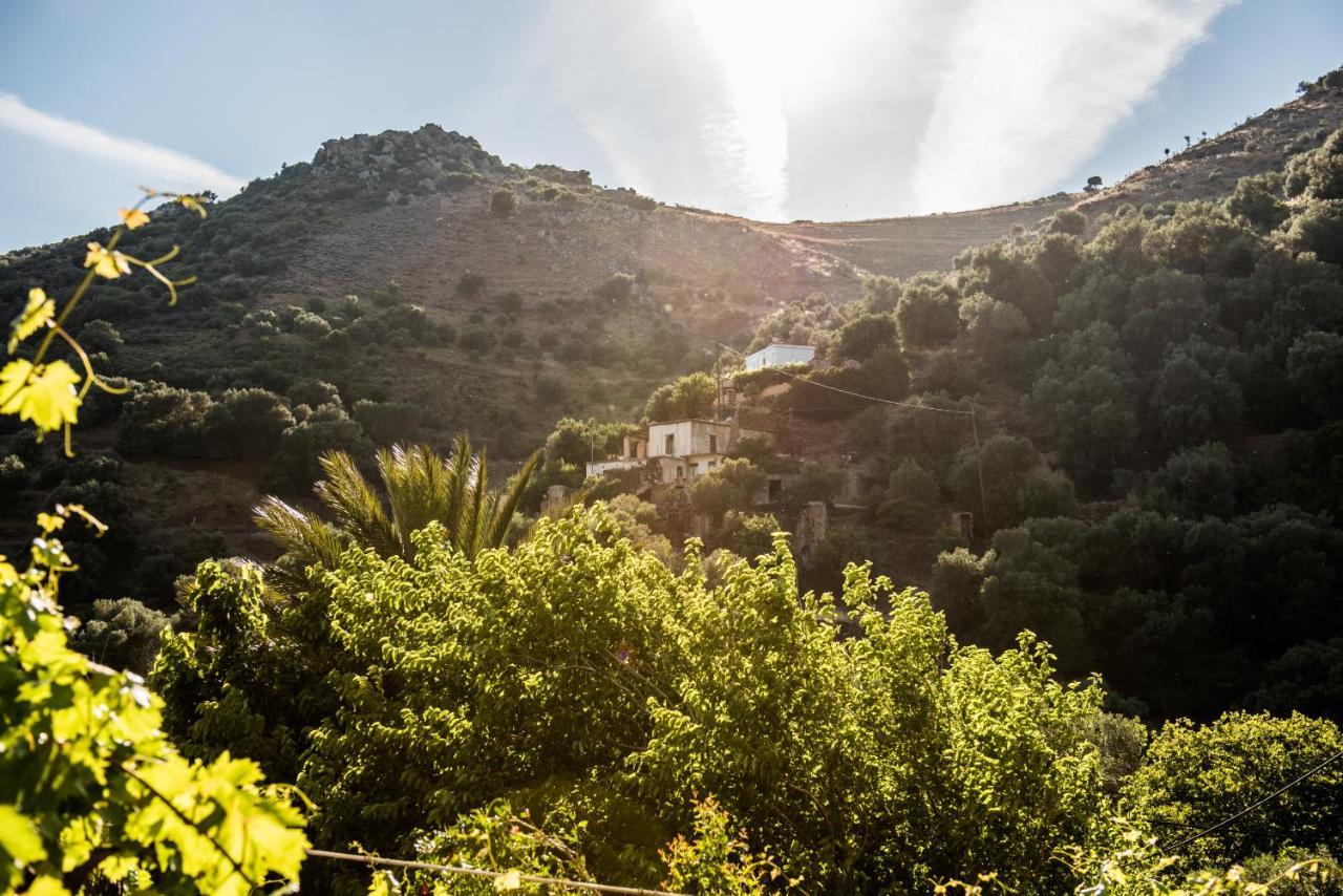 Villa Spitia Anoi Paleochora Exterior foto